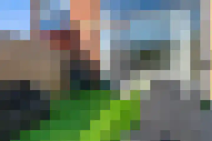 Rekerdijk 13 Rotterdam thumbnail 10