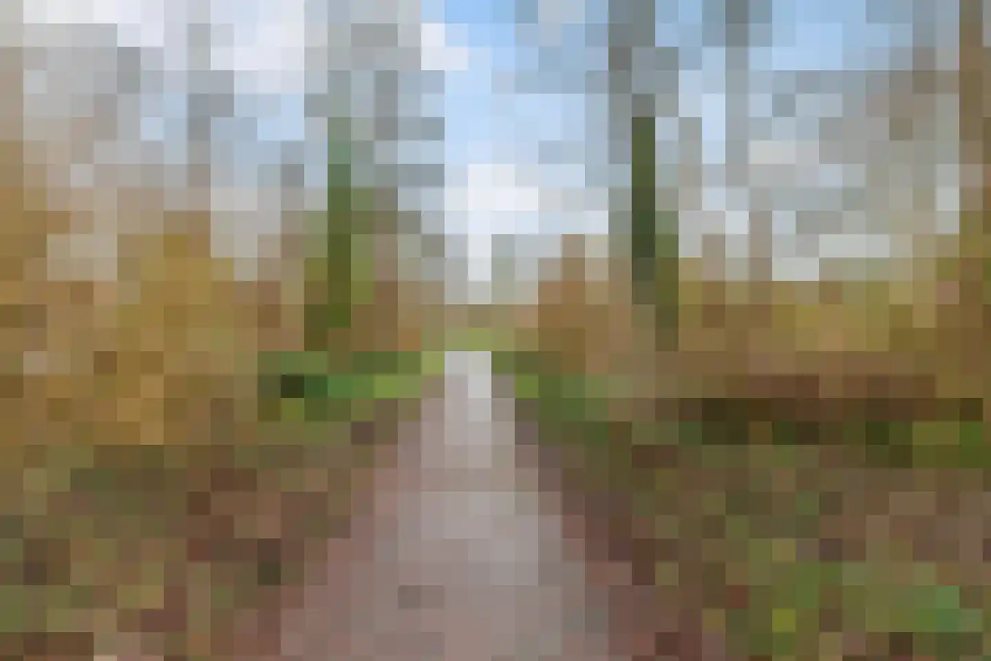 Rekerdijk 31 Rotterdam thumbnail 22