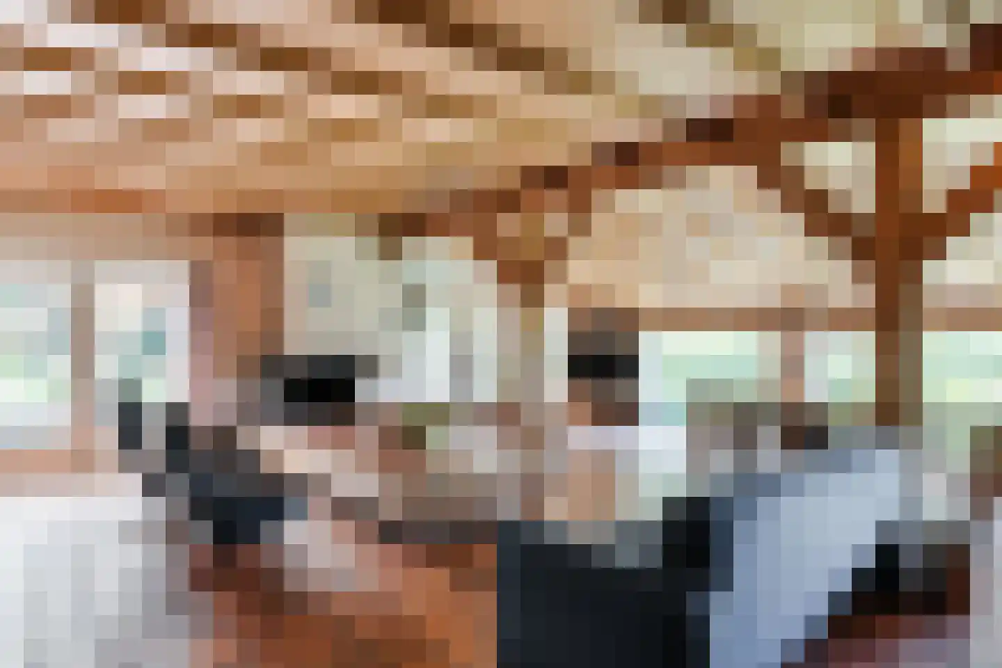 Rekerkoogweg 3 Warmenhuizen thumbnail 11
