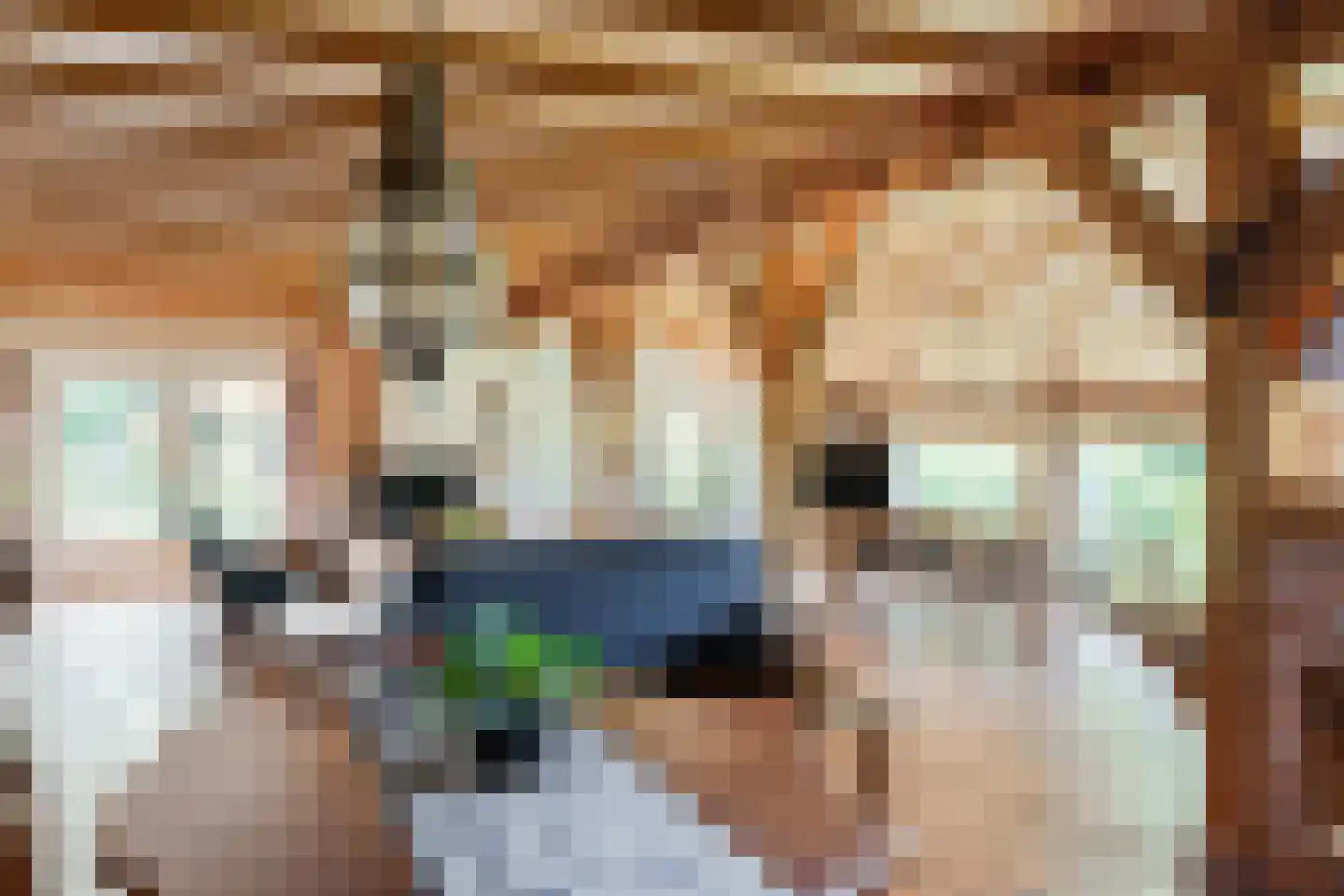 Rekerkoogweg 3 Warmenhuizen thumbnail 16