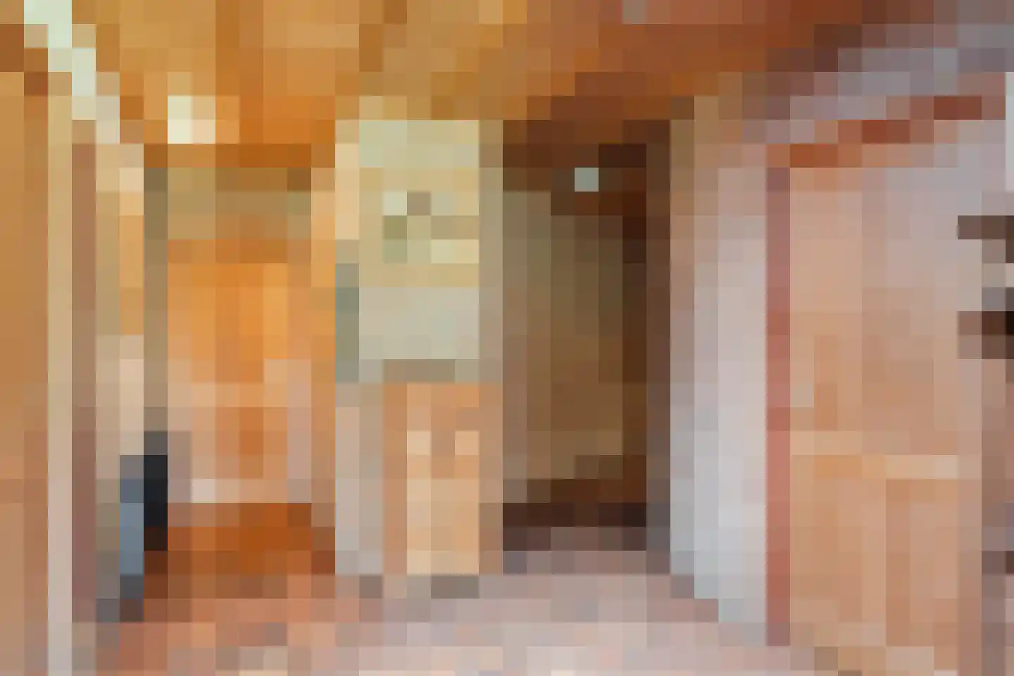 Rekerkoogweg 3 Warmenhuizen thumbnail 23