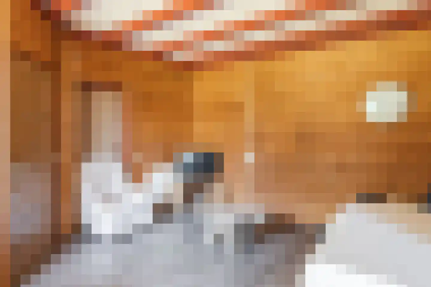 Rekerkoogweg 3 Warmenhuizen thumbnail 25
