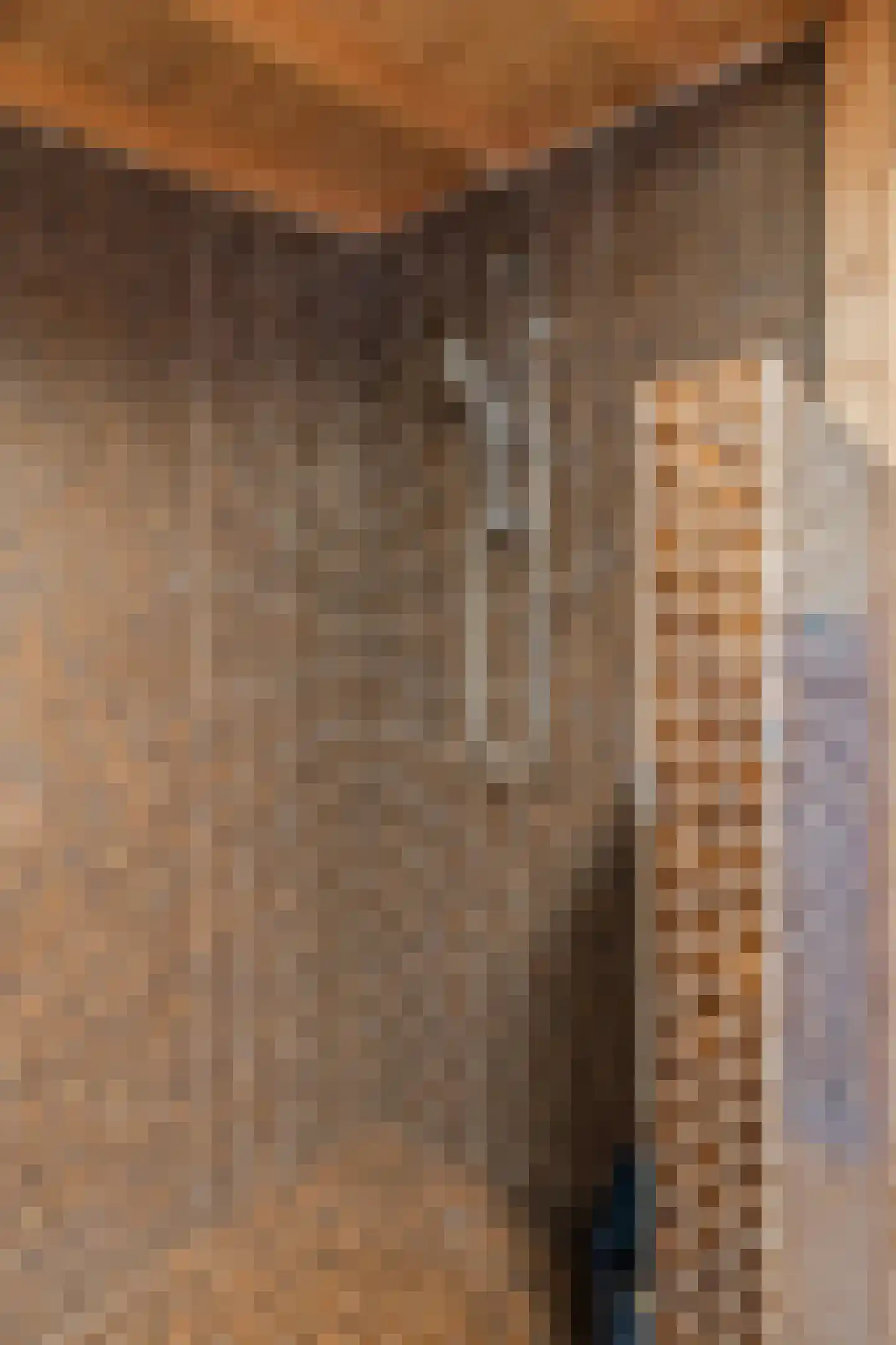 Rekerkoogweg 3 Warmenhuizen thumbnail 40
