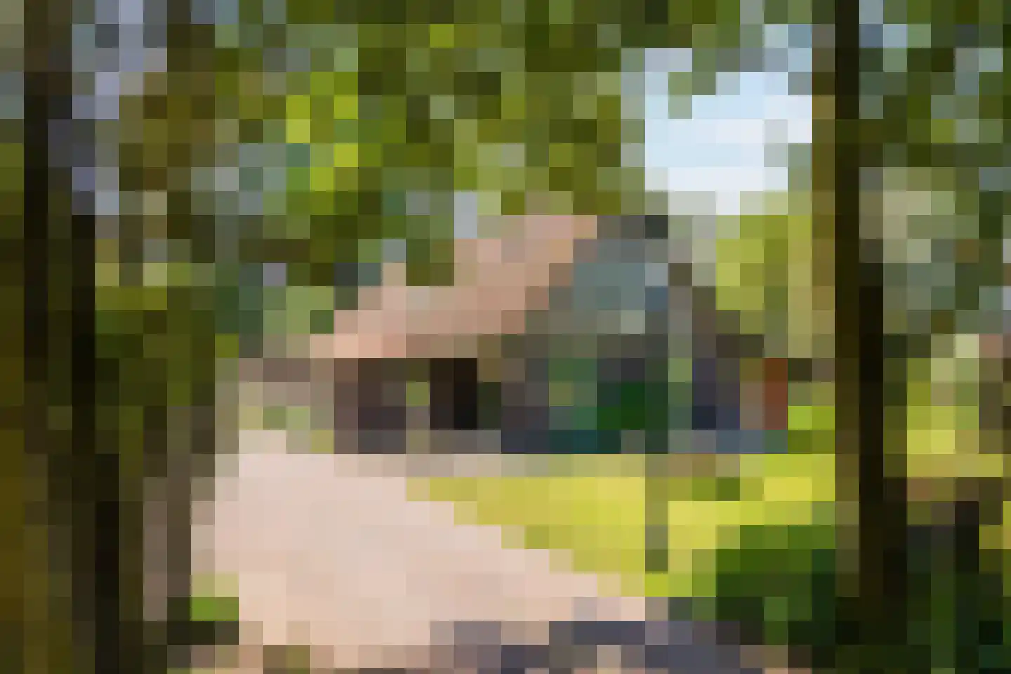 Rekerkoogweg 3 Warmenhuizen thumbnail 5