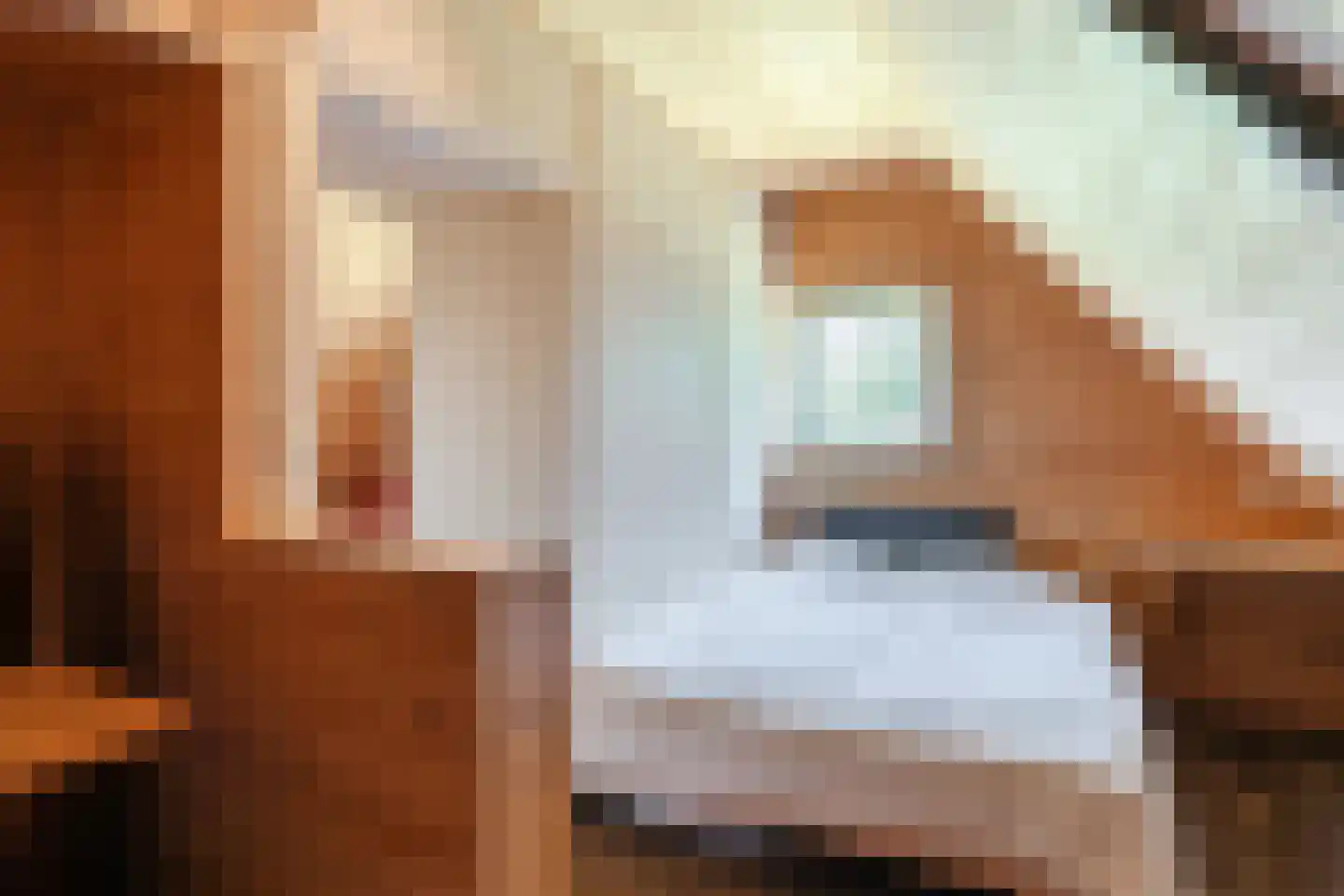 Rekerkoogweg 3 Warmenhuizen thumbnail 57