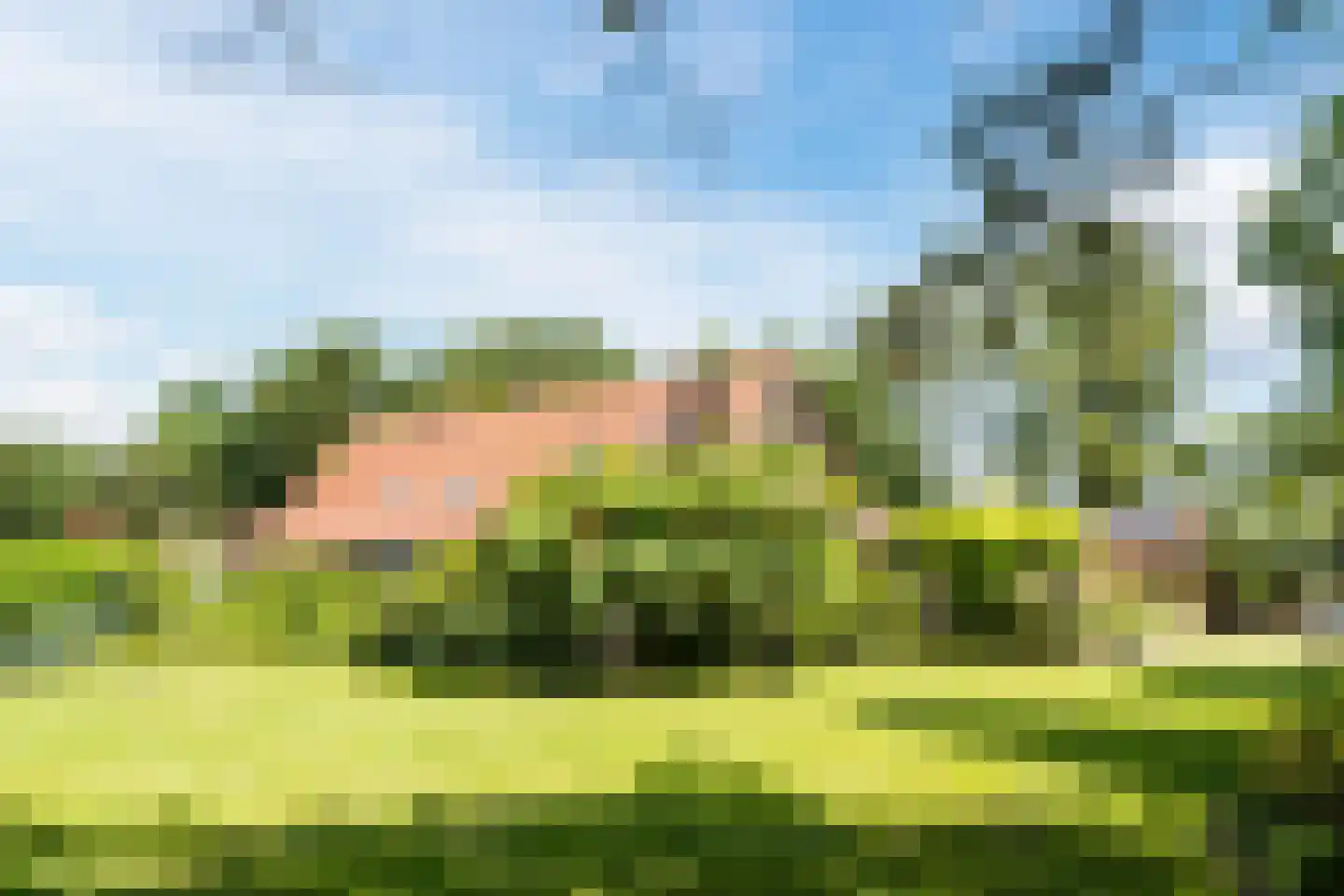 Rekerkoogweg 3 Warmenhuizen thumbnail 7