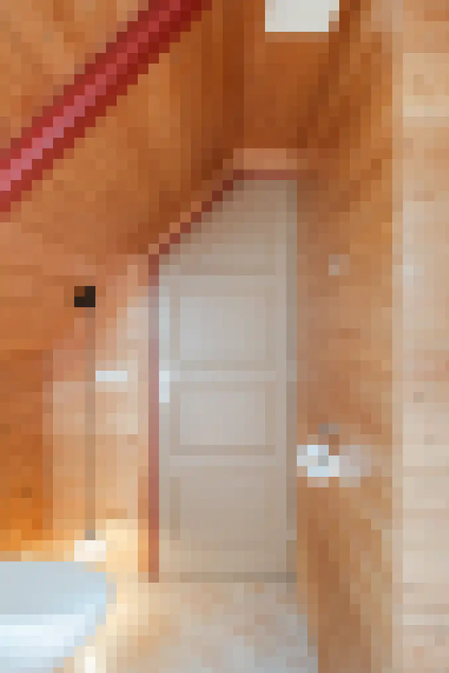 Rekerkoogweg 3 Warmenhuizen thumbnail 72