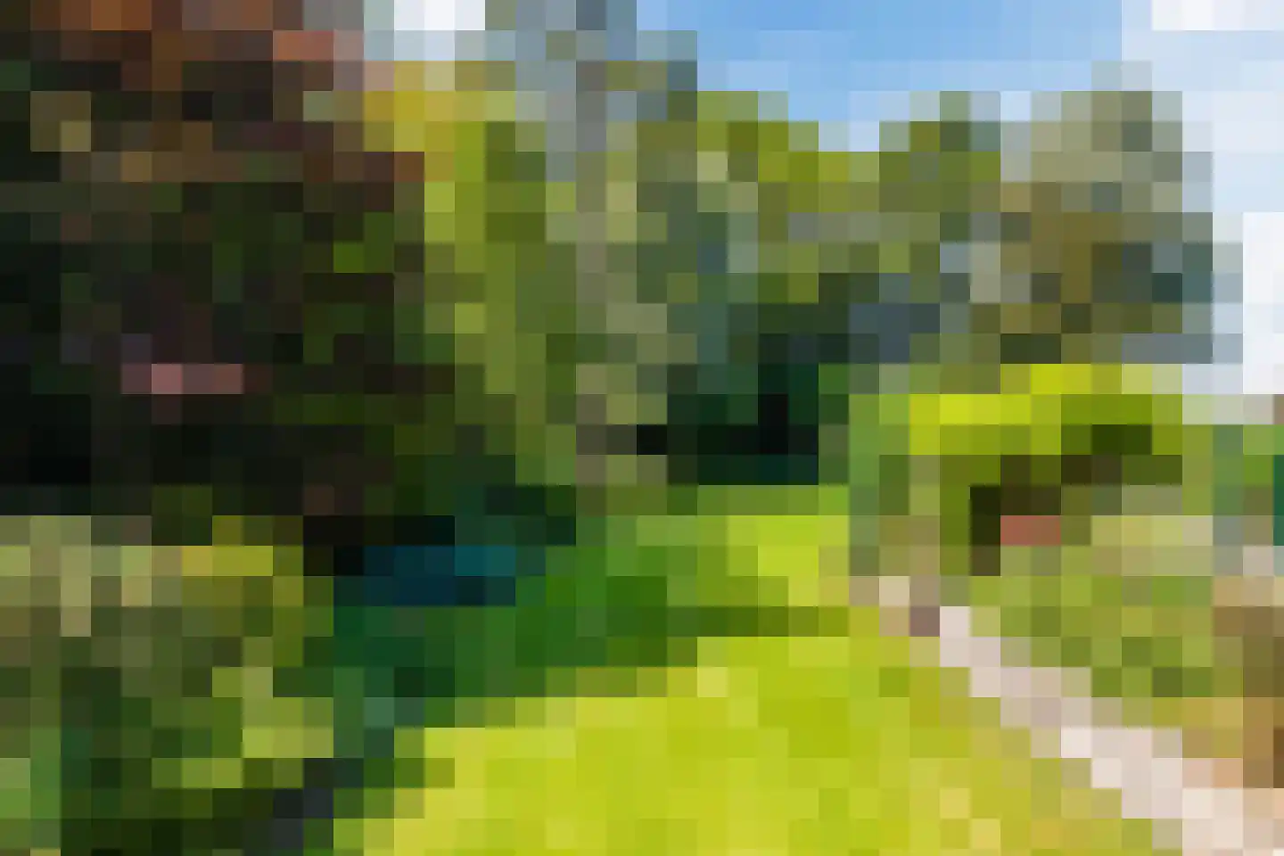 Rekerkoogweg 3 Warmenhuizen thumbnail 81