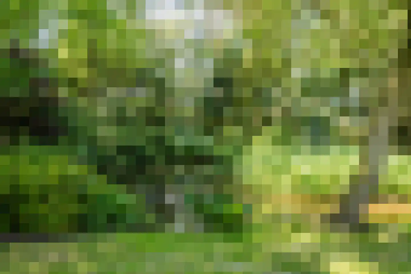 Rekerkoogweg 3 Warmenhuizen thumbnail 82
