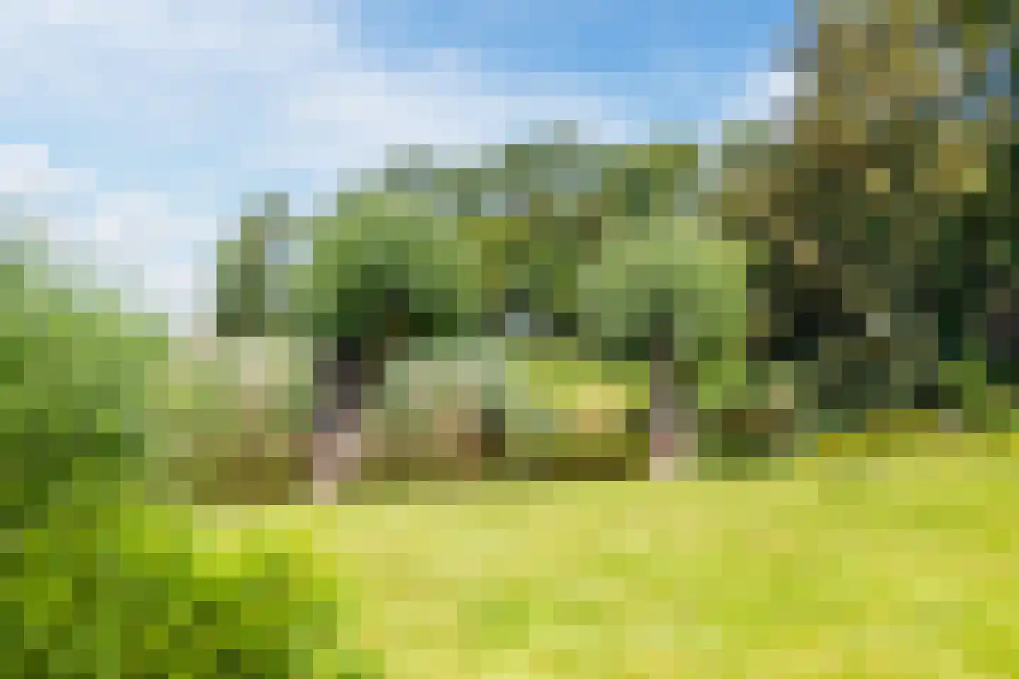 Rekerkoogweg 3 Warmenhuizen thumbnail 83