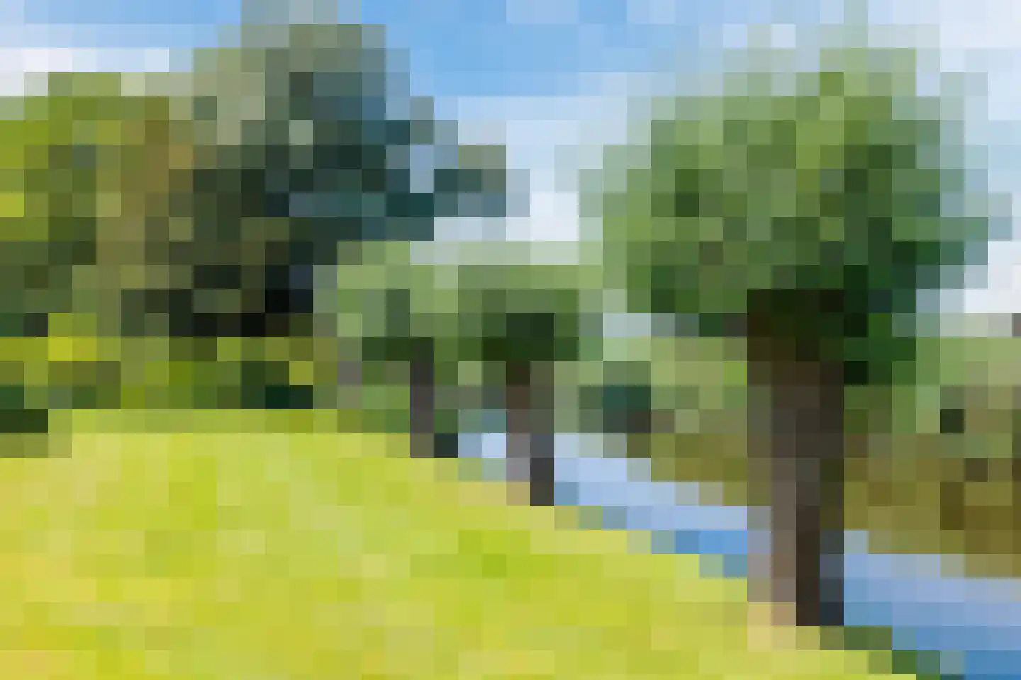 Rekerkoogweg 3 Warmenhuizen thumbnail 84