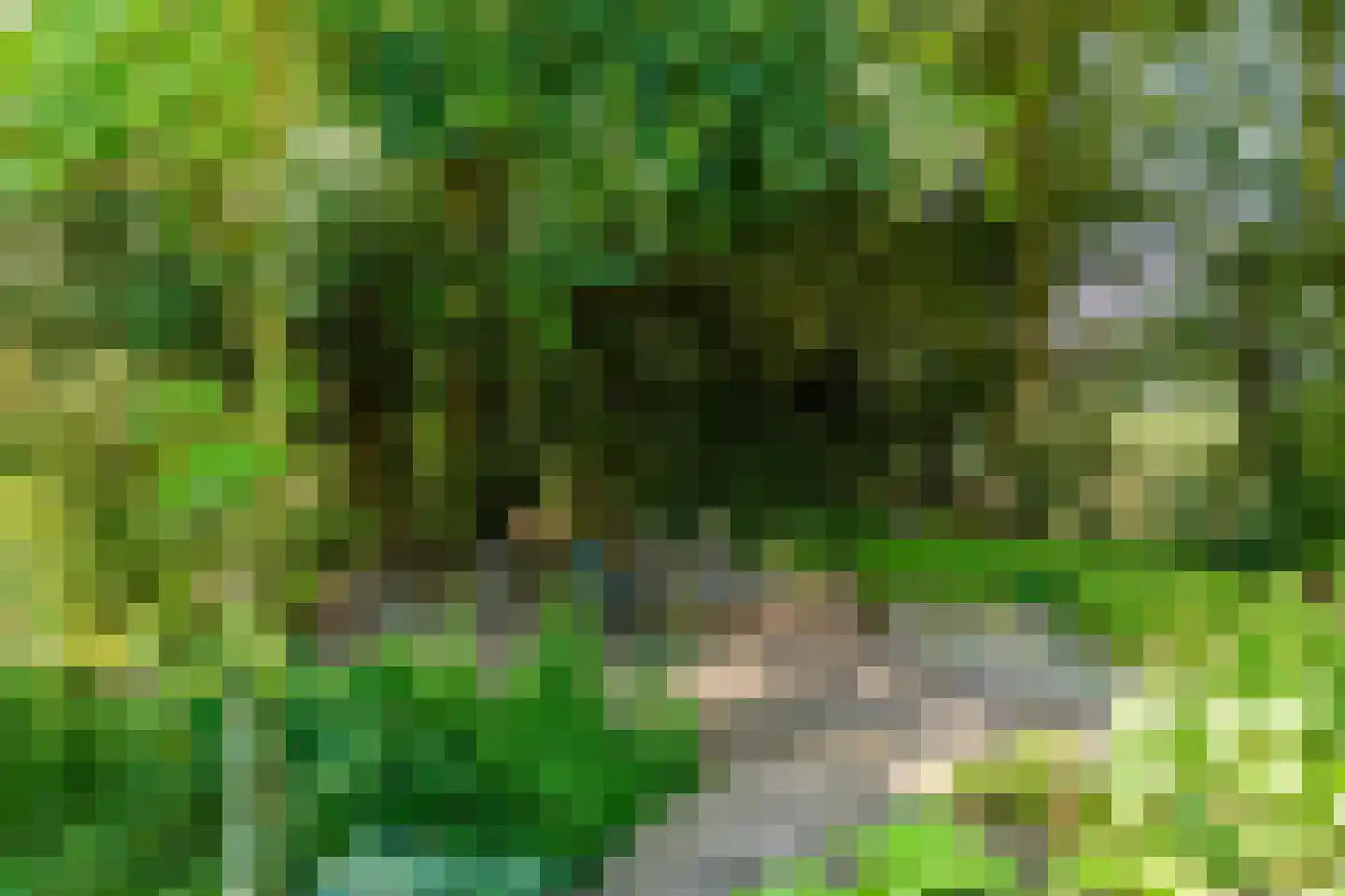 Rekerkoogweg 3 Warmenhuizen thumbnail 89