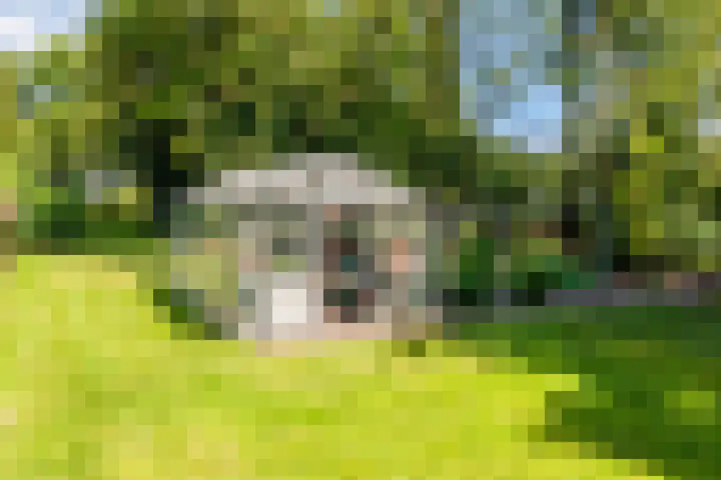 Rekerkoogweg 3 Warmenhuizen thumbnail 90