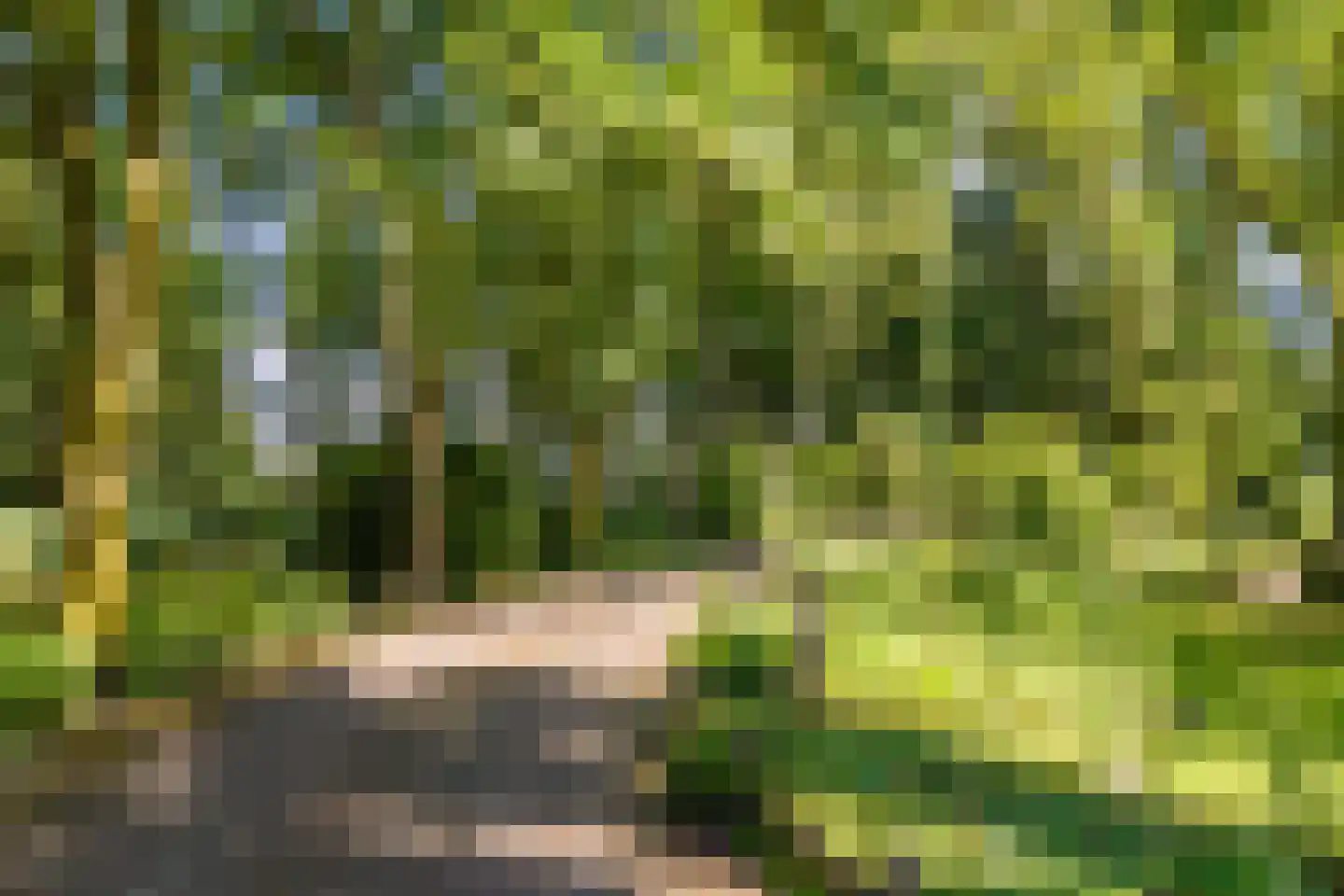Rekerkoogweg 3 Warmenhuizen thumbnail 95