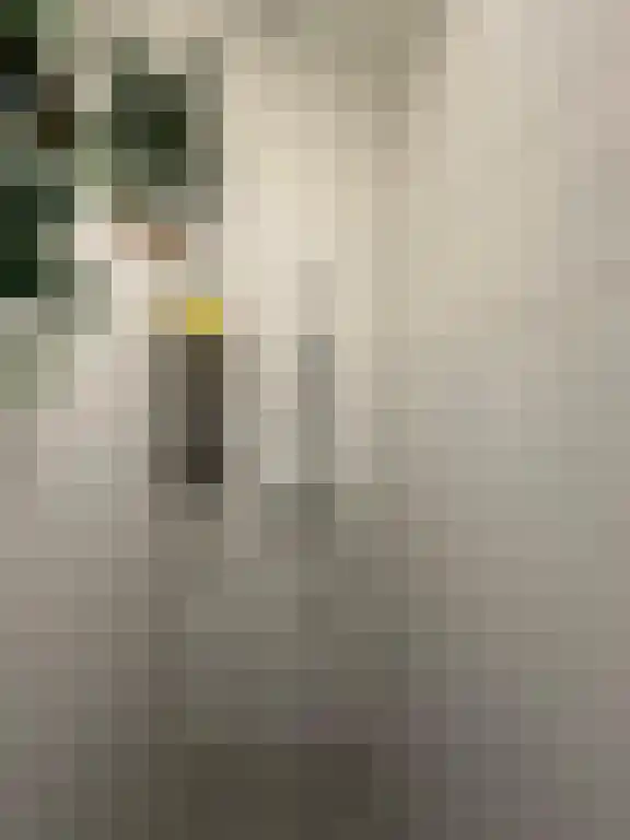 Rekerlanden 104 Warmenhuizen thumbnail 11