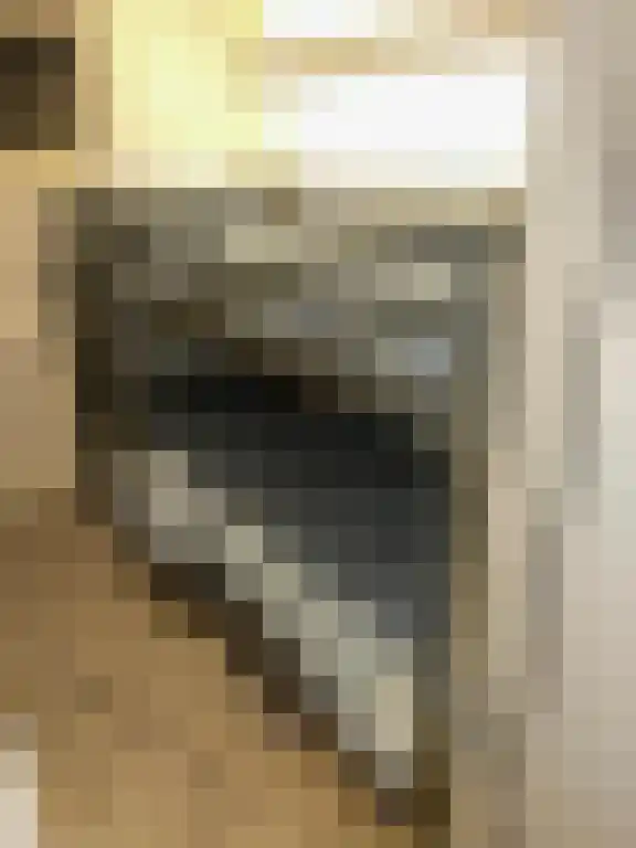 Rekerlanden 104 Warmenhuizen thumbnail 12