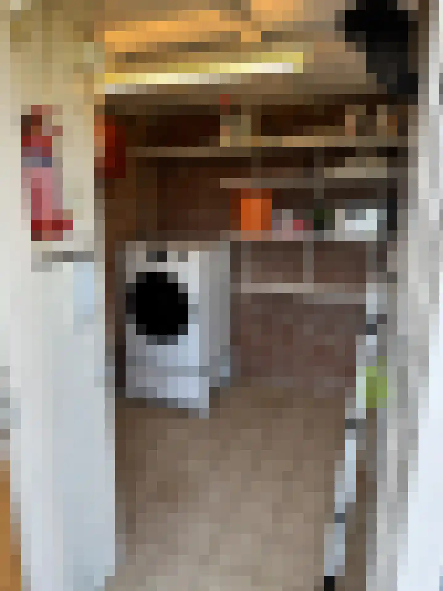 Rekerlanden 104 Warmenhuizen thumbnail 14