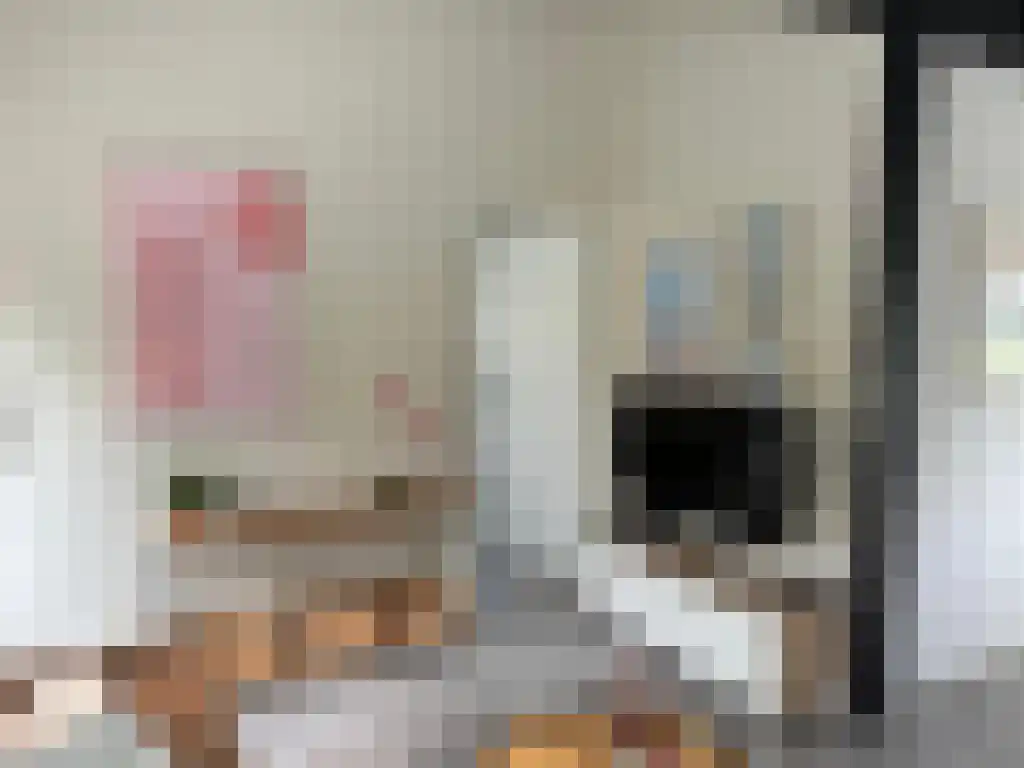 Rekerlanden 104 Warmenhuizen thumbnail 4