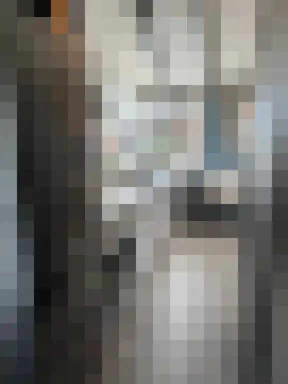 Rekerlanden 104 Warmenhuizen thumbnail 7