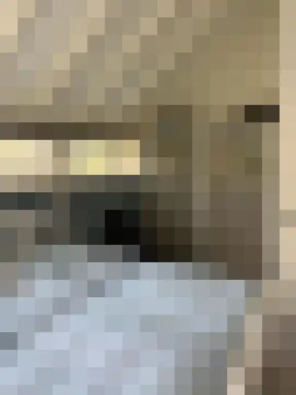 Rekerlanden 104 Warmenhuizen thumbnail 8