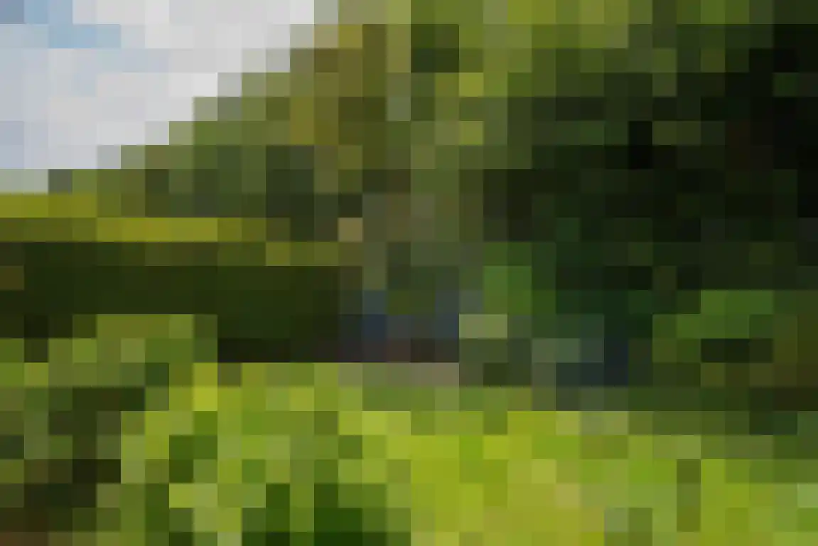 Rekerlanden 105 Warmenhuizen thumbnail 11
