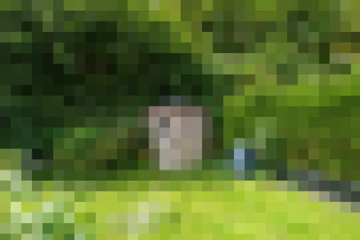Rekerlanden 105 Warmenhuizen thumbnail 12