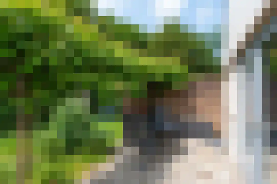 Rekerlanden 105 Warmenhuizen thumbnail 13