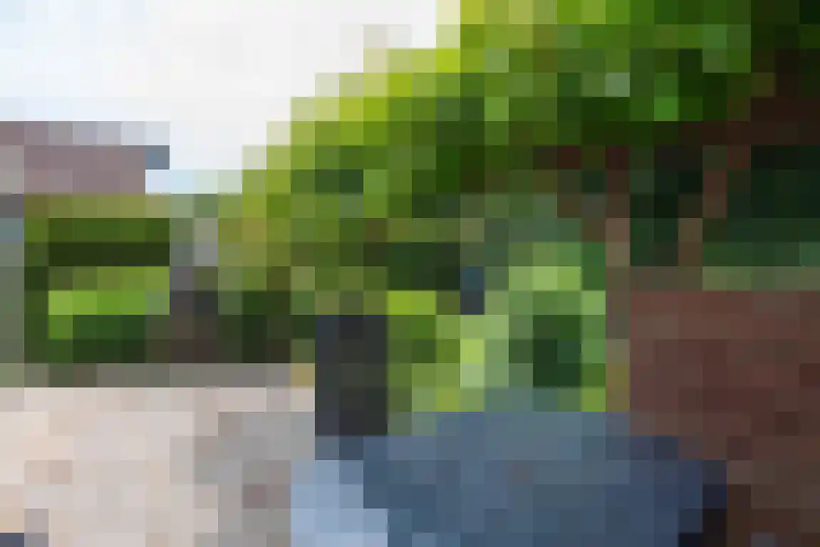 Rekerlanden 105 Warmenhuizen thumbnail 14