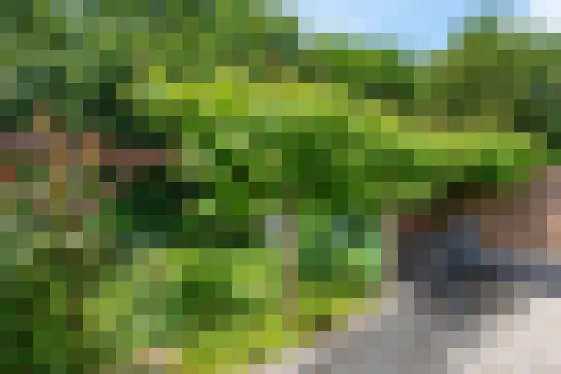 Rekerlanden 105 Warmenhuizen thumbnail 15