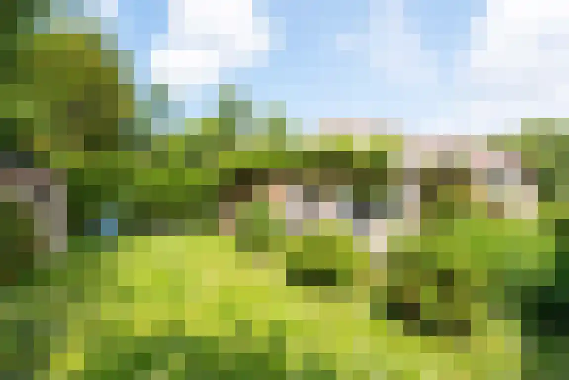 Rekerlanden 105 Warmenhuizen thumbnail 16