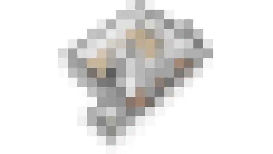 Rekerlanden 105 Warmenhuizen thumbnail 32