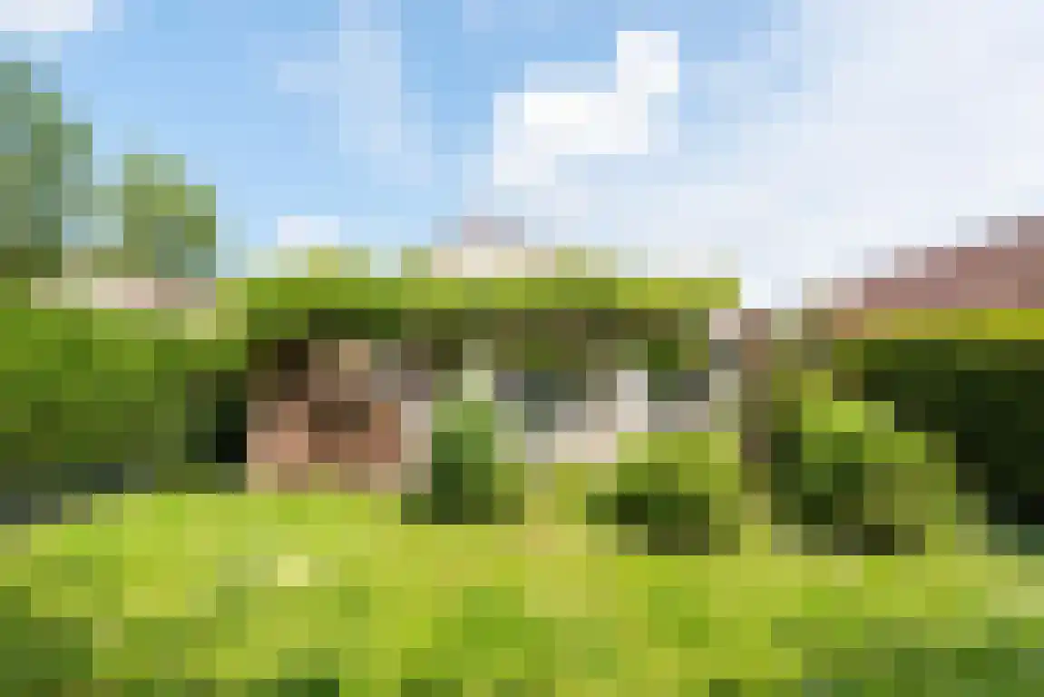 Rekerlanden 105 Warmenhuizen thumbnail 4