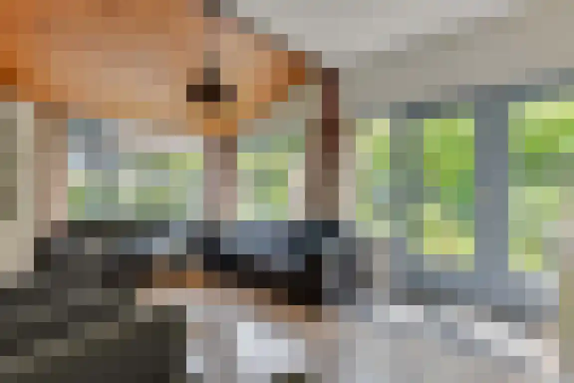 Rekerlanden 105 Warmenhuizen thumbnail 6