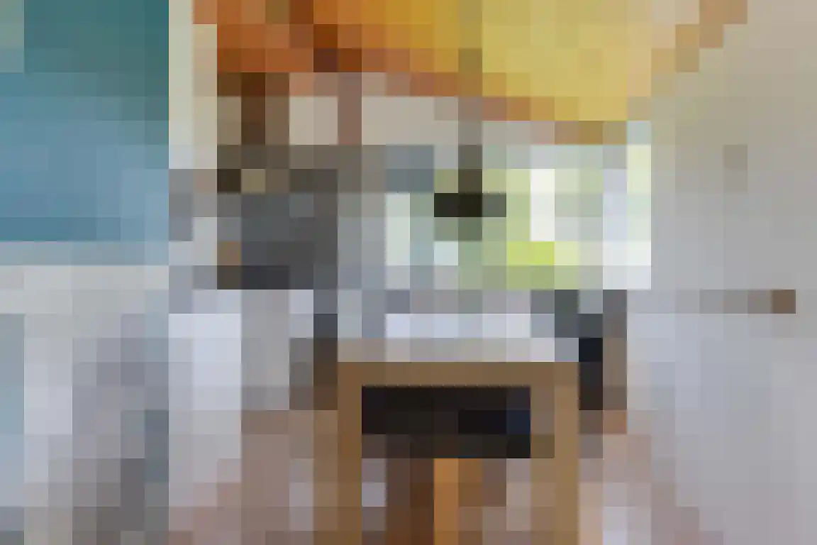 Rekerlanden 105 Warmenhuizen thumbnail 8