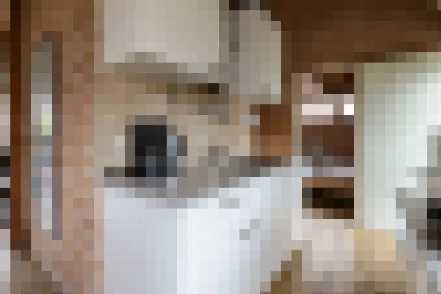 Rekerlanden 121 Warmenhuizen thumbnail 11