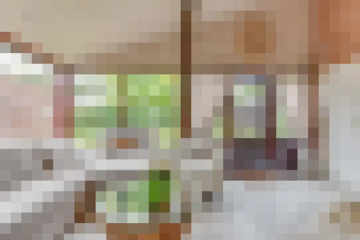 Rekerlanden 123 Warmenhuizen thumbnail 12