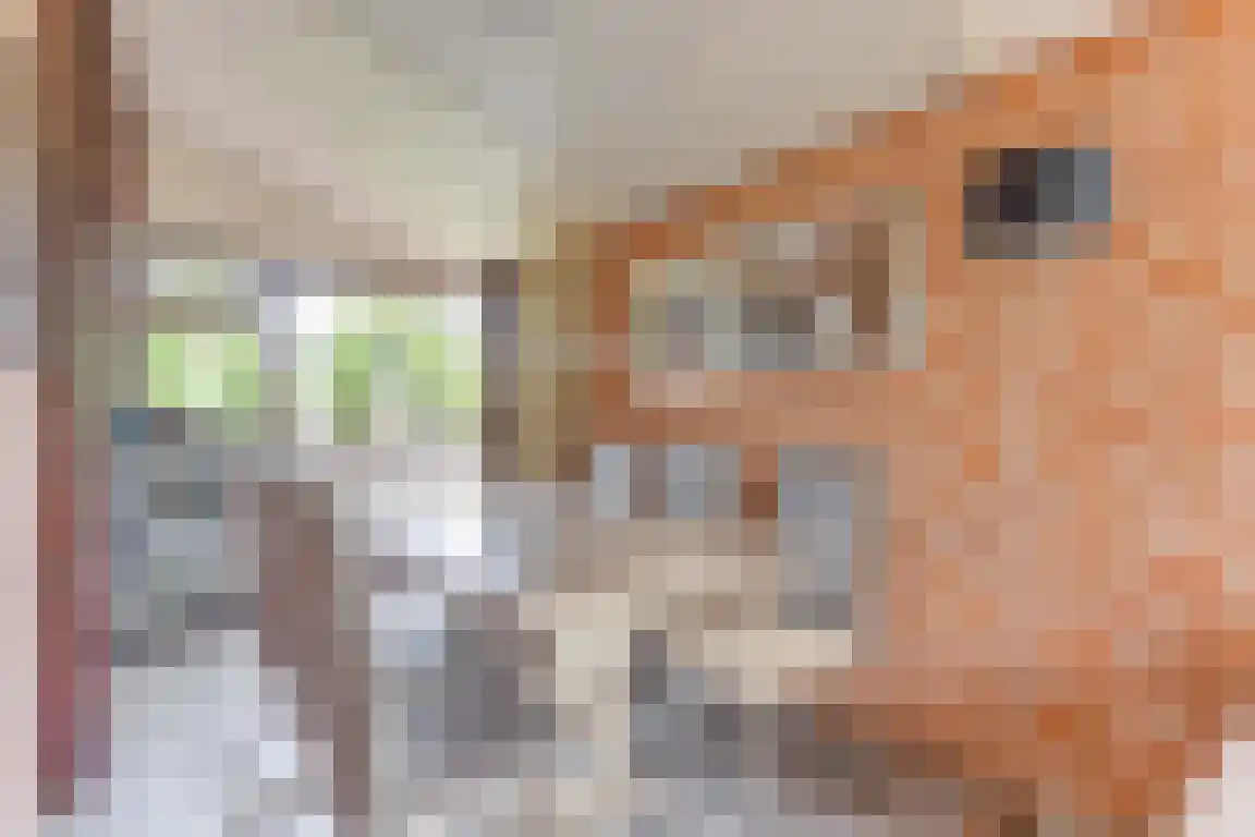 Rekerlanden 123 Warmenhuizen thumbnail 13