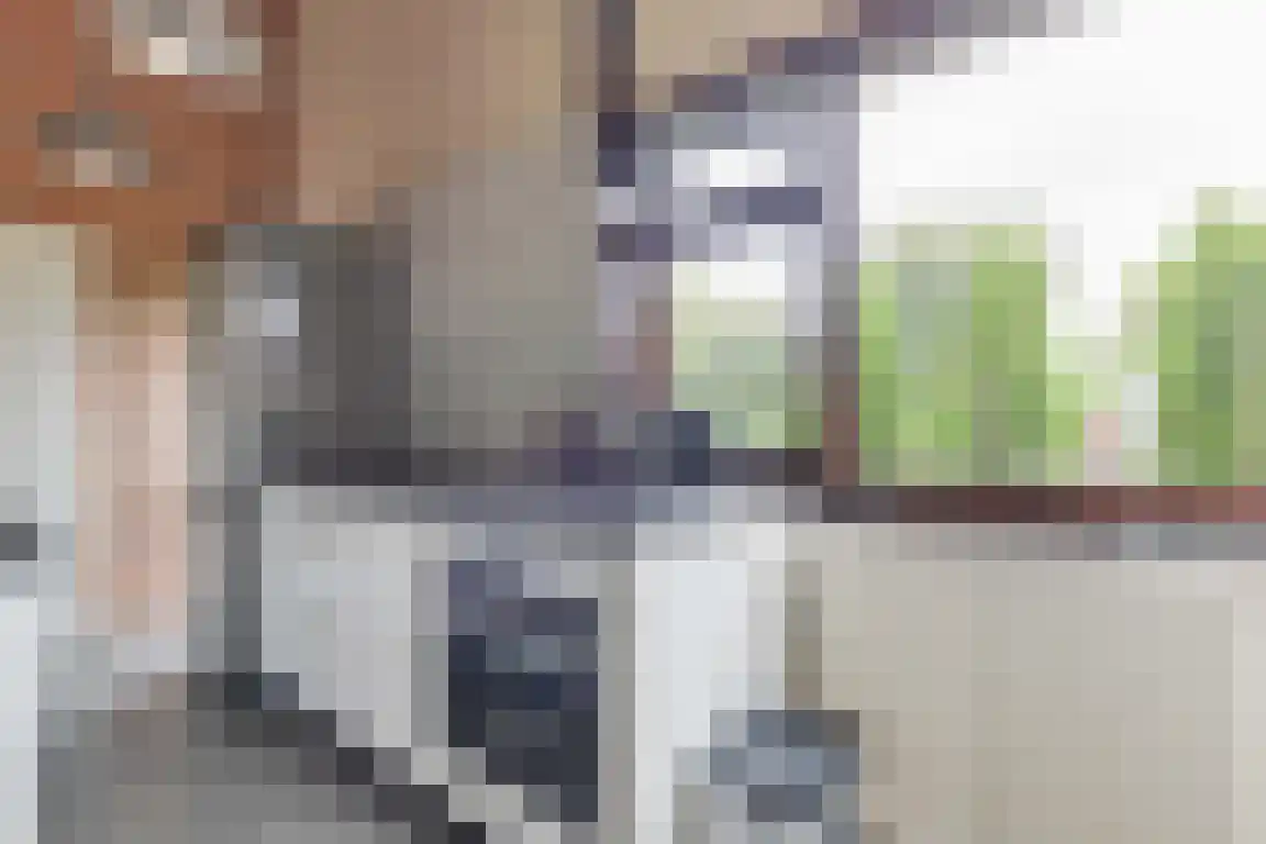 Rekerlanden 123 Warmenhuizen thumbnail 14