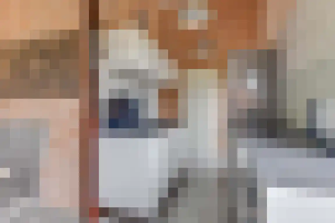 Rekerlanden 123 Warmenhuizen thumbnail 15