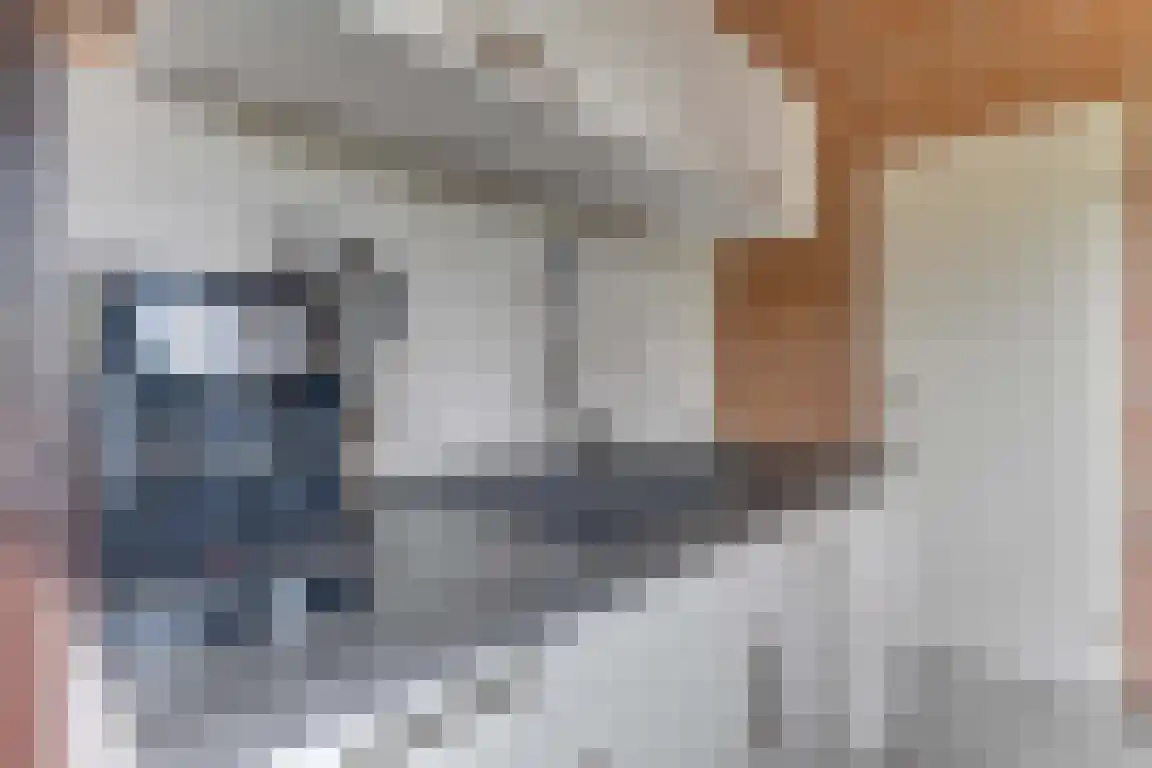 Rekerlanden 123 Warmenhuizen thumbnail 16