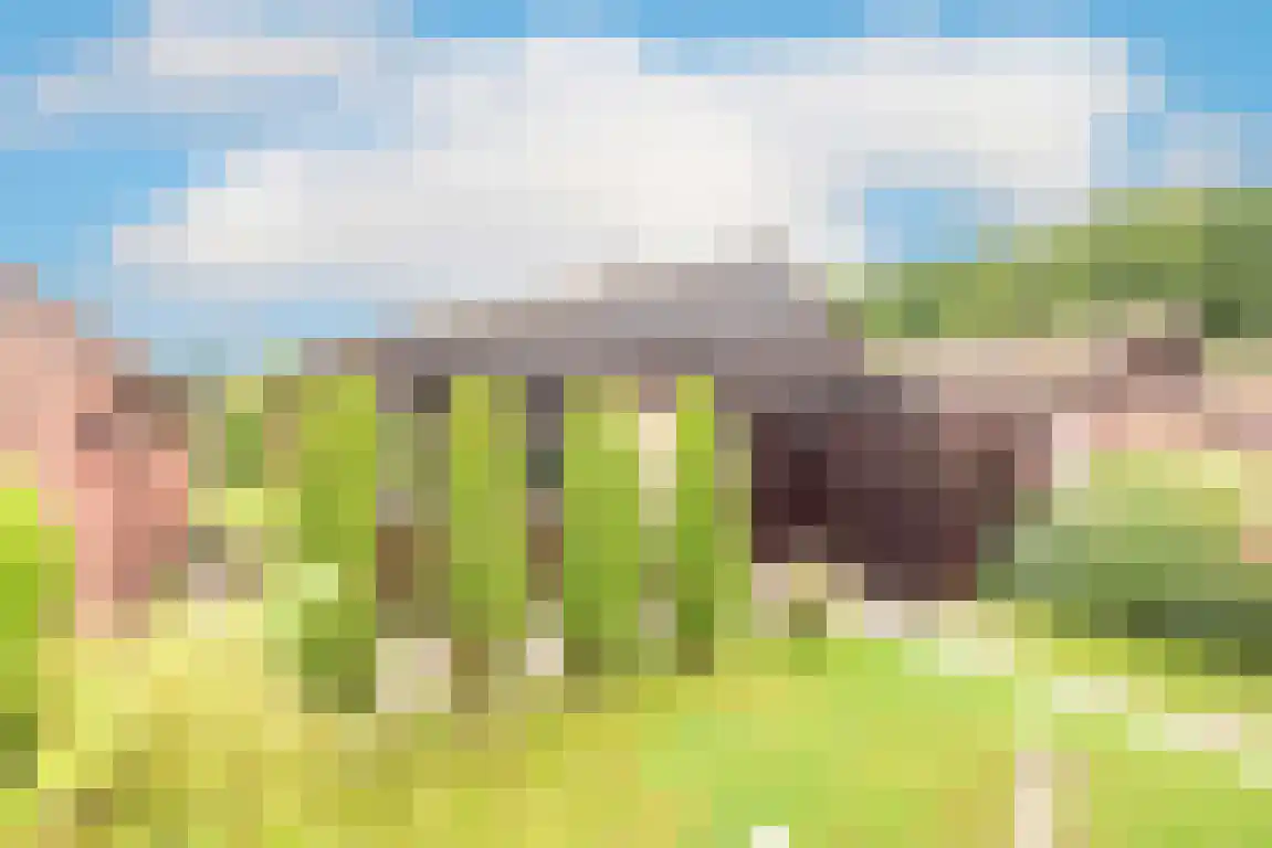 Rekerlanden 123 Warmenhuizen thumbnail 30