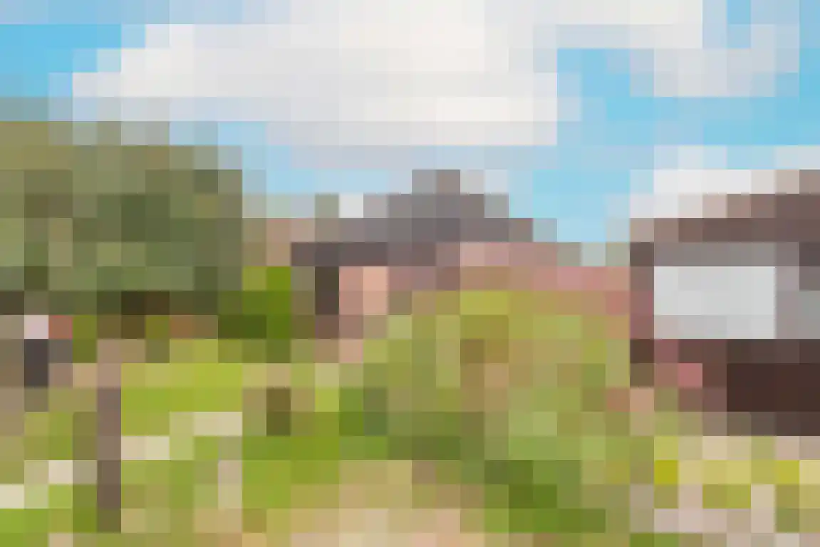 Rekerlanden 123 Warmenhuizen thumbnail 31
