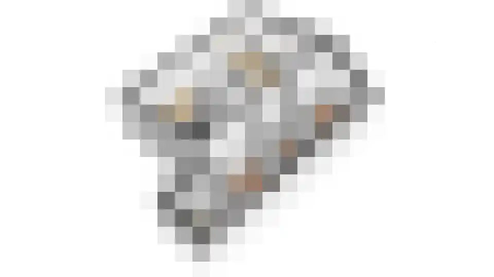 Rekerlanden 123 Warmenhuizen thumbnail 32