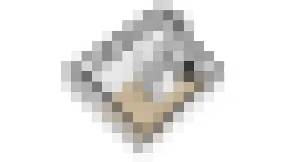 Rekerlanden 123 Warmenhuizen thumbnail 33
