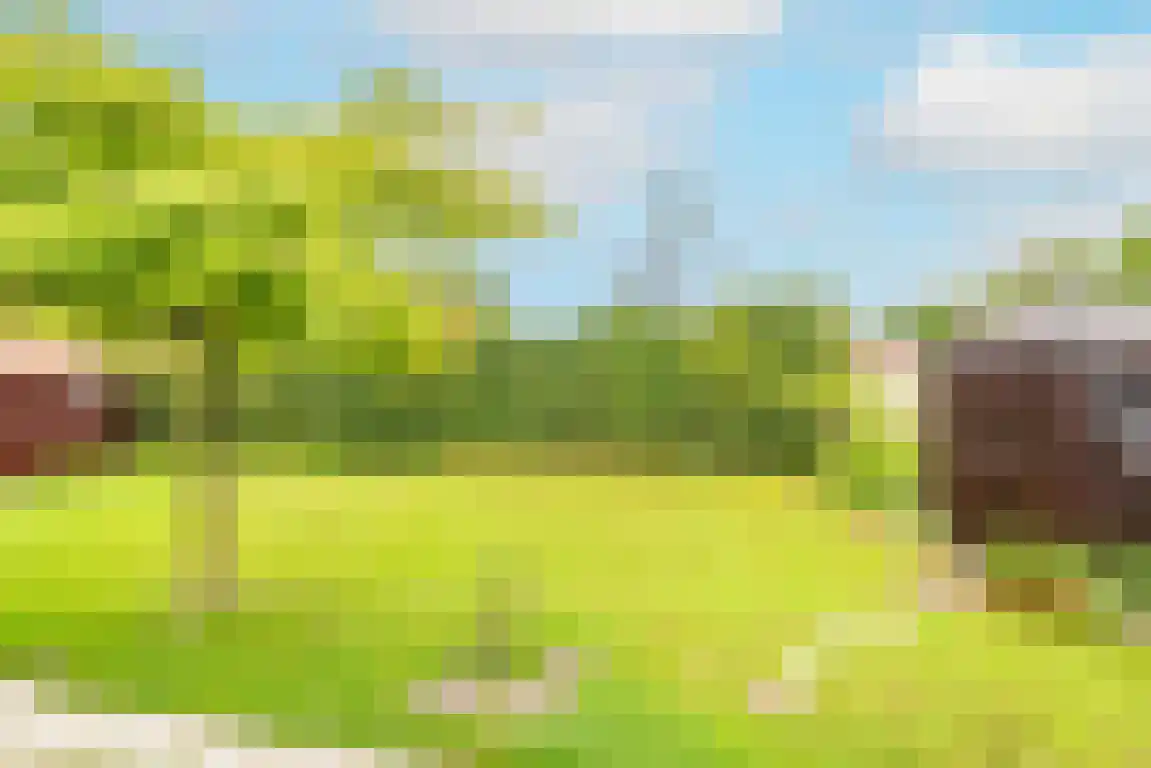 Rekerlanden 123 Warmenhuizen thumbnail 4
