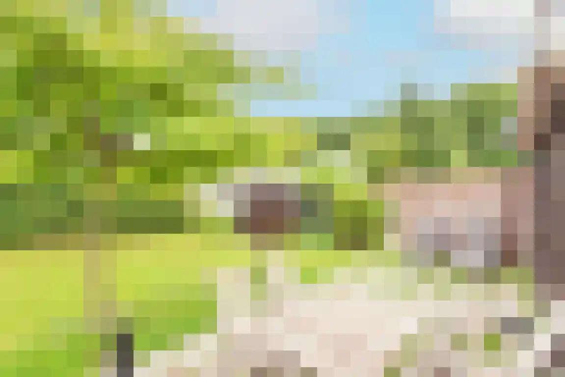Rekerlanden 123 Warmenhuizen thumbnail 5