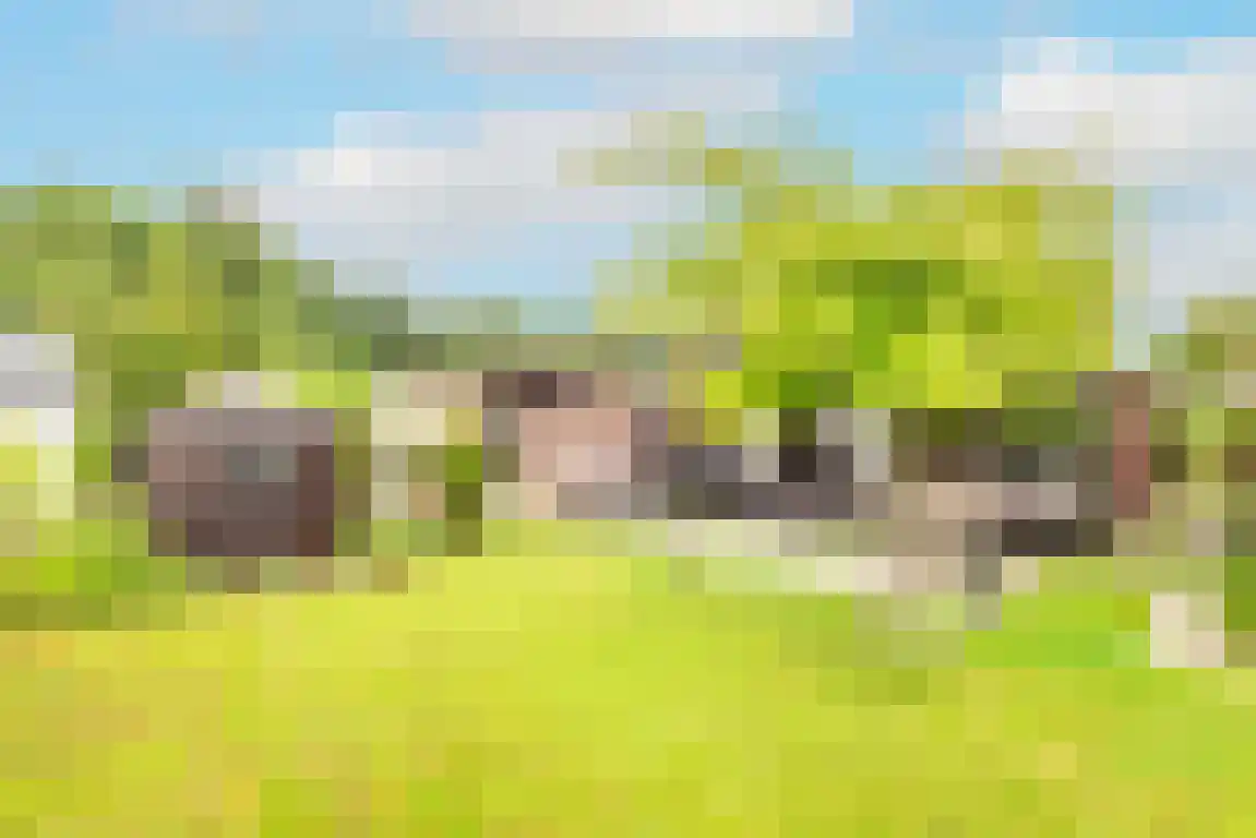 Rekerlanden 123 Warmenhuizen thumbnail 6