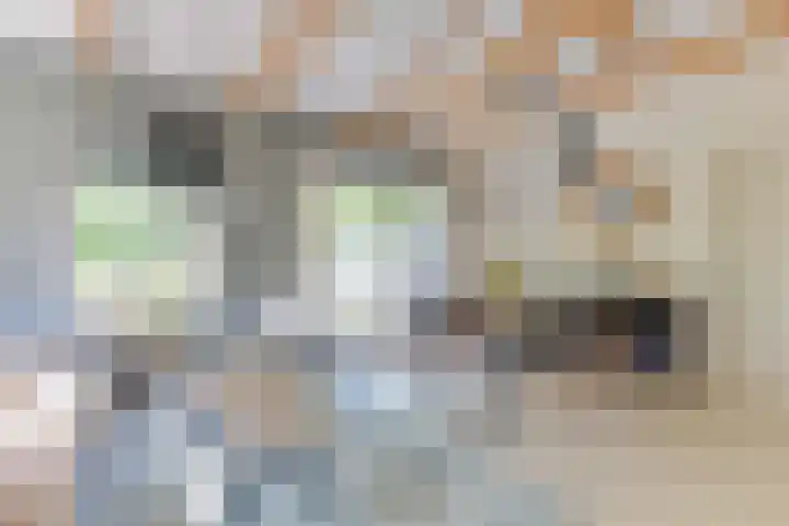 Rekerlanden 126 Warmenhuizen thumbnail 11