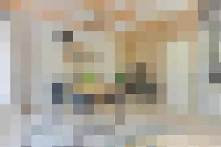 Rekerlanden 126 Warmenhuizen thumbnail 13