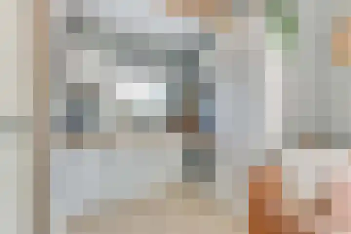 Rekerlanden 126 Warmenhuizen thumbnail 16